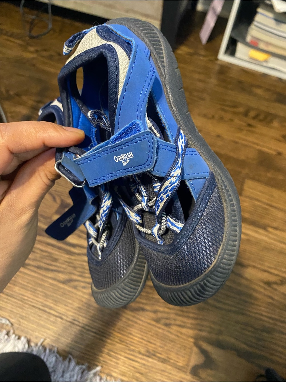 OshKosh B'gosh Navy and Royal Blue Kids Sport Sandals